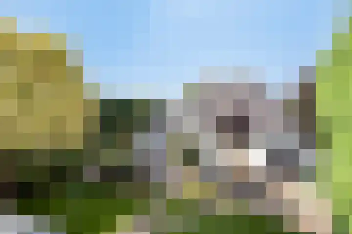 Kerkstraat 15 Erp thumbnail 30
