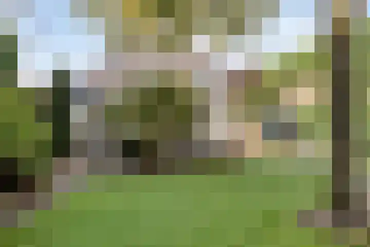 Kerkstraat 15 Erp thumbnail 32