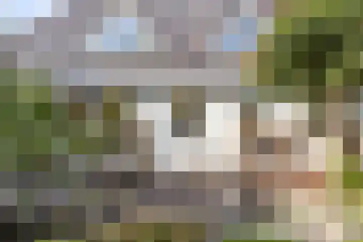 Kerkstraat 15 Erp thumbnail 33