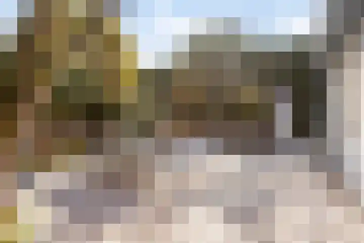 Kerkstraat 15 Erp thumbnail 34