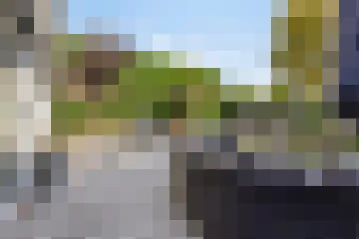 Kerkstraat 15 Erp thumbnail 35