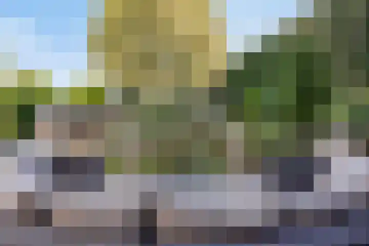 Kerkstraat 15 Erp thumbnail 36