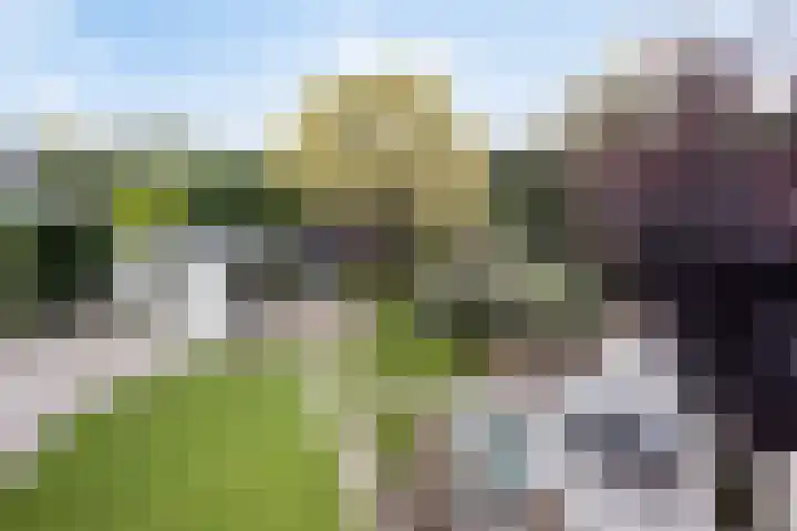 Kerkstraat 15 Erp thumbnail 37