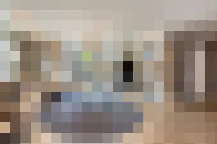Kerkstraat 15 Erp thumbnail 4