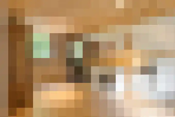 Kerkstraat 15 Erp thumbnail 44