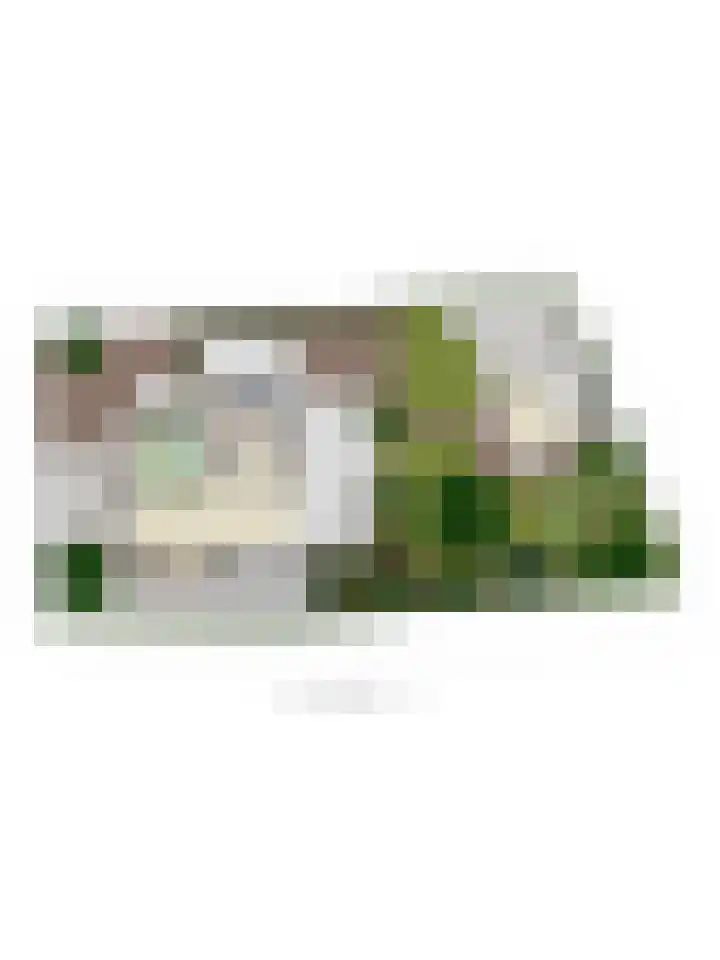 Kerkstraat 15 Erp thumbnail 50
