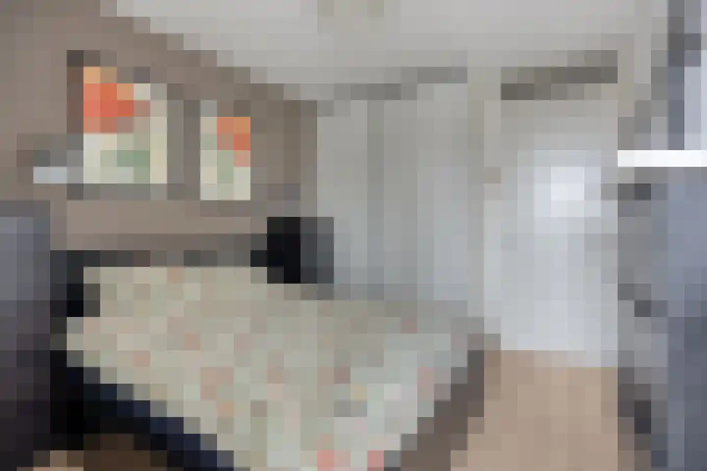Kerkstraat 15 g Horst thumbnail 12