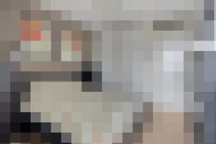 Kerkstraat 15 g Horst thumbnail 14
