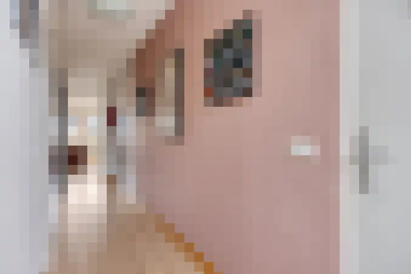 Kerkstraat 15 g Horst thumbnail 19