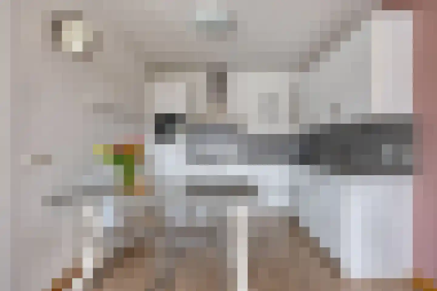 Kerkstraat 15 g Horst thumbnail 6