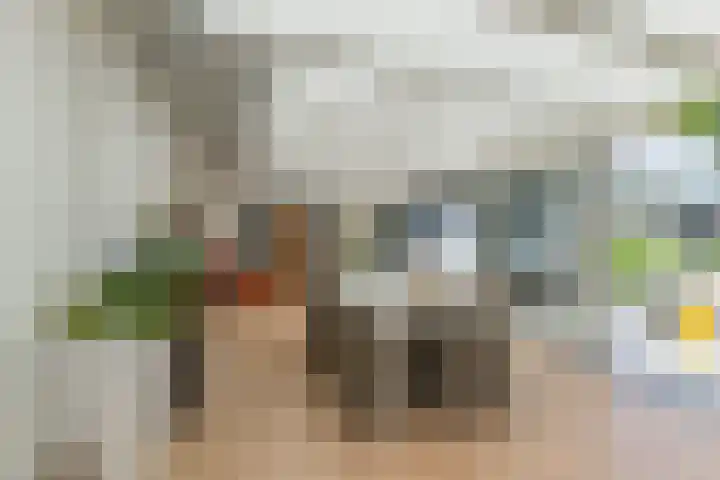 Kerkstraat 15 Haaren thumbnail 18