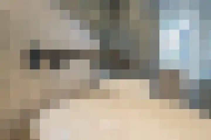 Kerkstraat 15 Haaren thumbnail 26