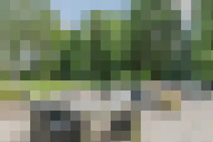 Kerkstraat 15 Haaren thumbnail 4