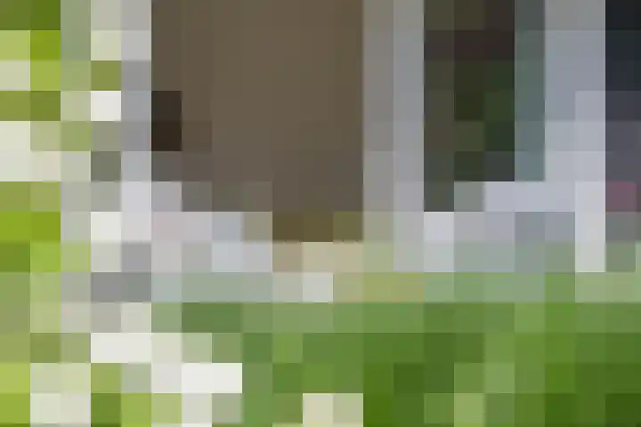 Kerkstraat 15 Haaren thumbnail 44