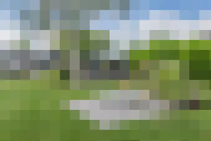 Kerkstraat 15 Haaren thumbnail 45
