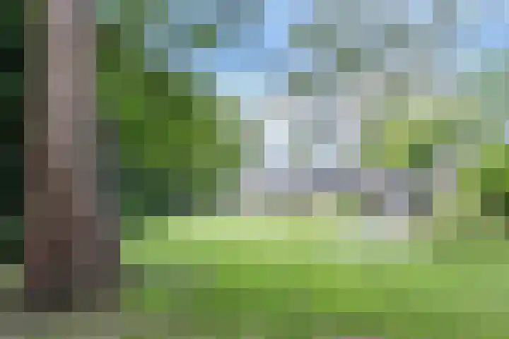 Kerkstraat 15 Haaren thumbnail 46