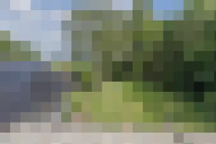 Kerkstraat 15 Haaren thumbnail 49