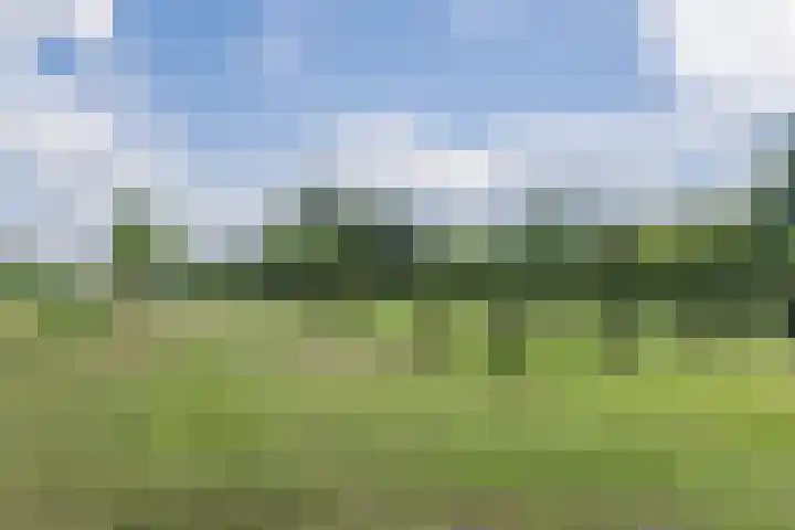 Kerkstraat 15 Haaren thumbnail 5