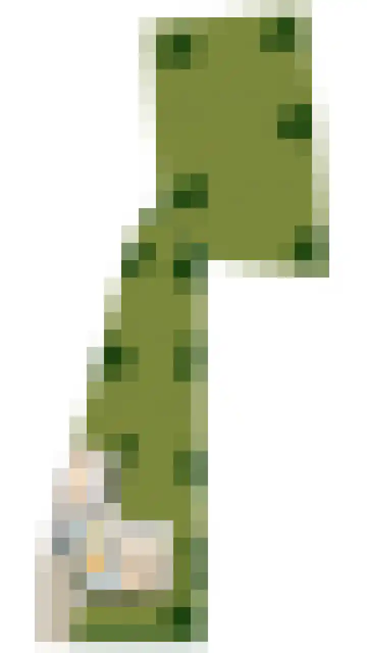 Kerkstraat 15 Haaren thumbnail 57