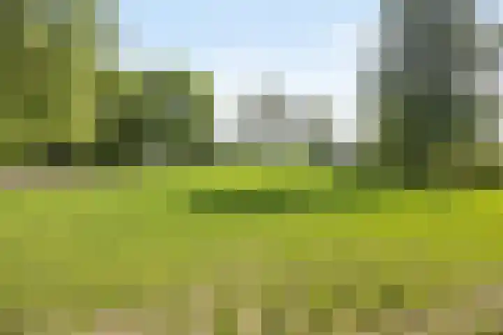 Kerkstraat 15 Hedikhuizen thumbnail 5