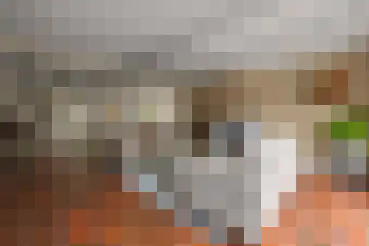 Kerkstraat 15 Hedikhuizen thumbnail 6