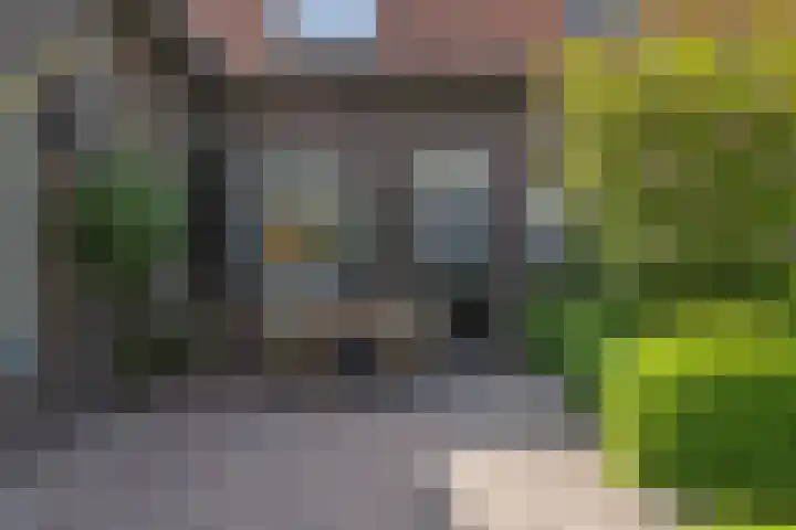 Kerkstraat 15 Hedikhuizen thumbnail 65