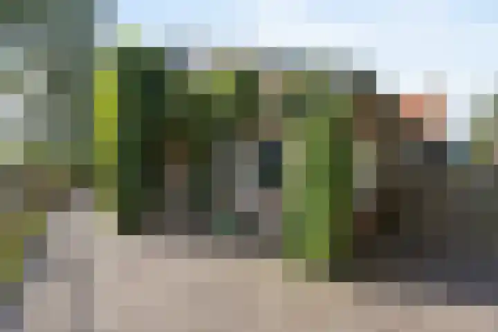 Kerkstraat 15 Hedikhuizen thumbnail 69