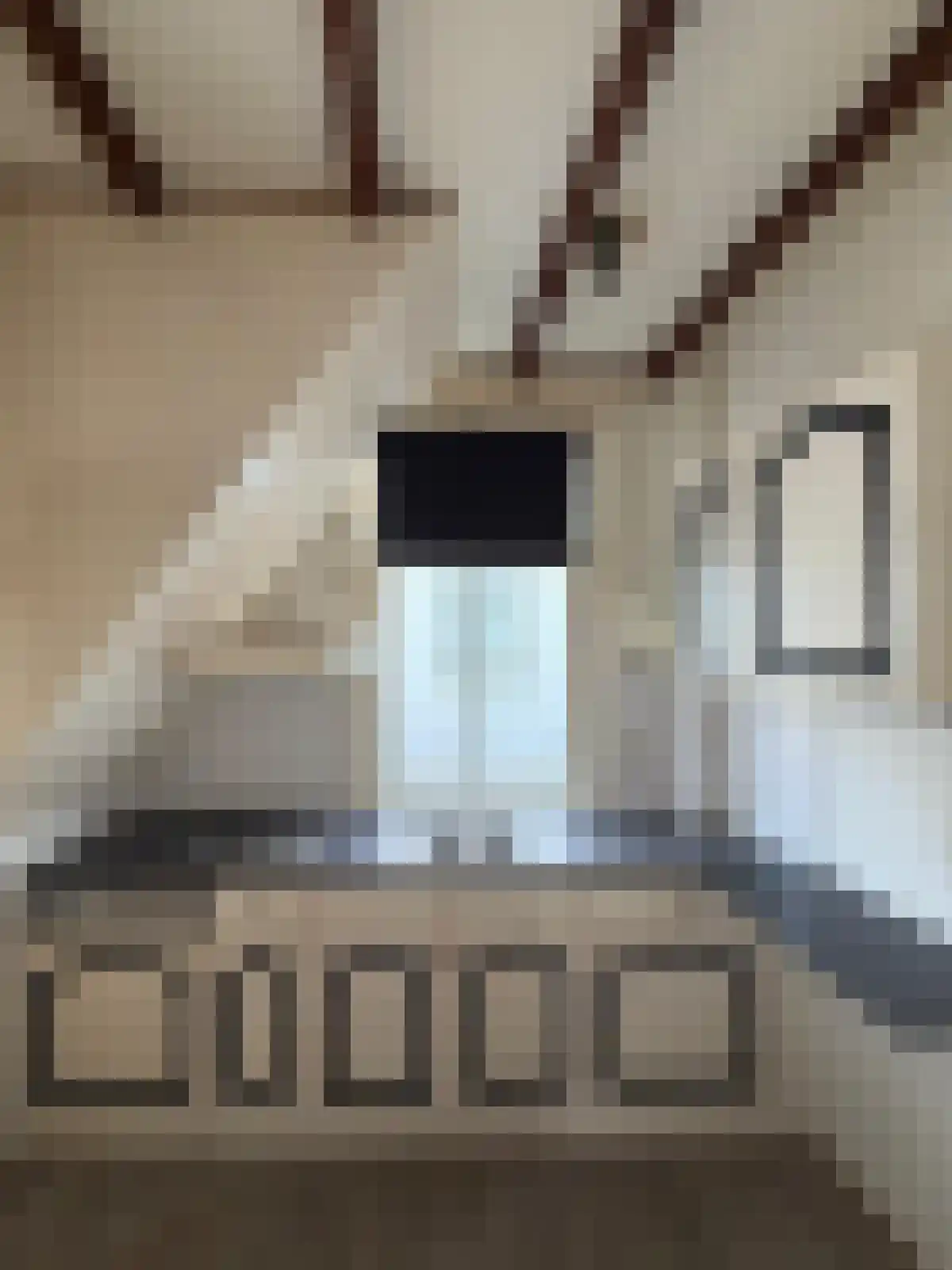 Kerkstraat 15 Kampen thumbnail 5