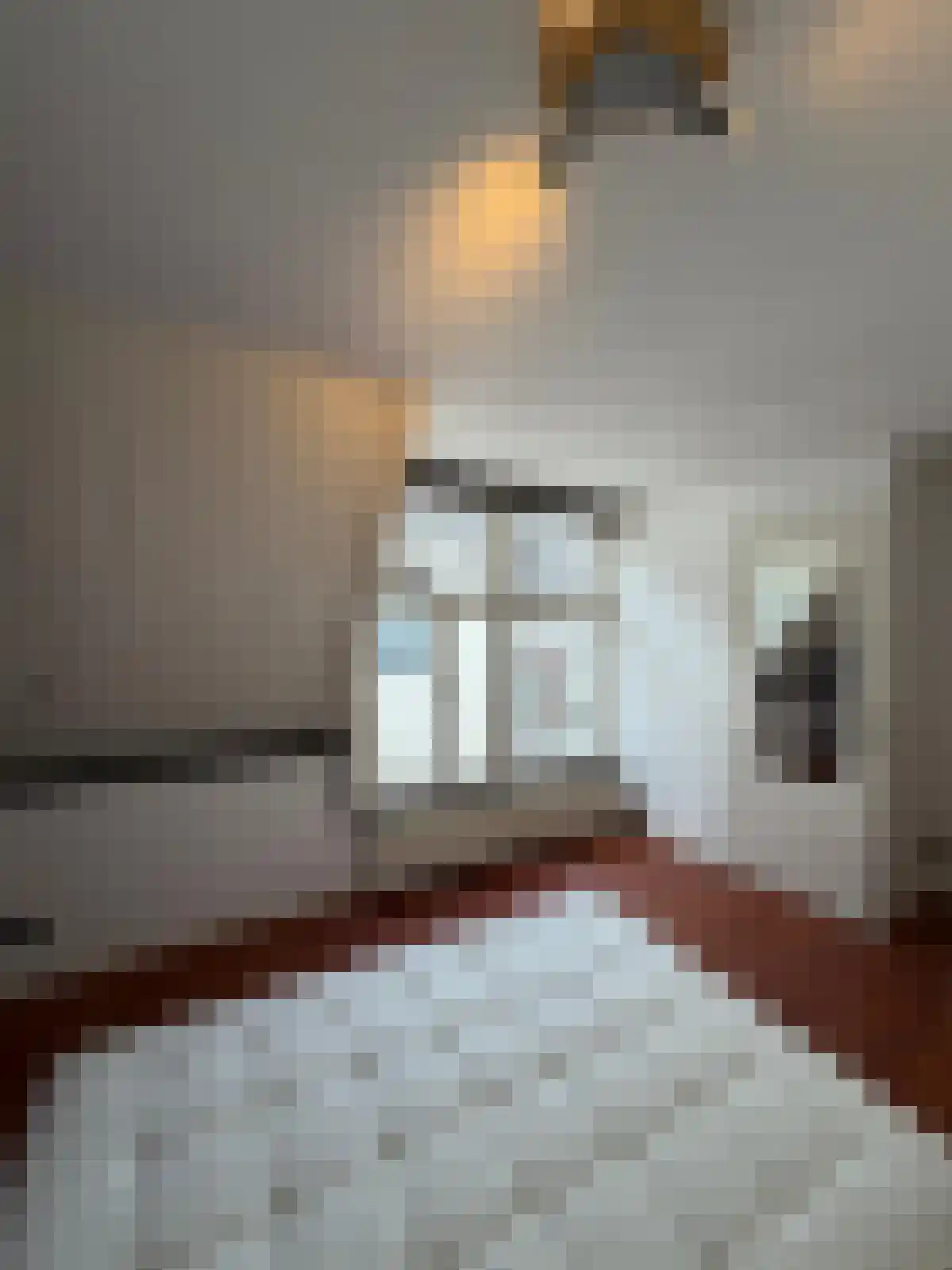 Kerkstraat 15 Kampen thumbnail 8