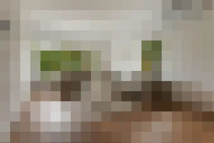 Kerkstraat 15 Meeden thumbnail 7