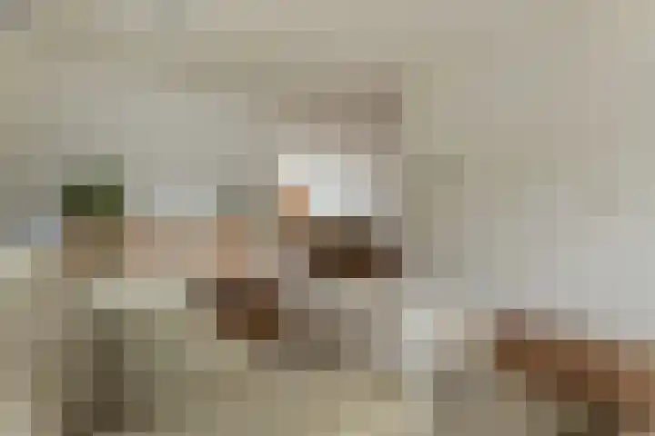 Kerkstraat 15 Meeden thumbnail 8
