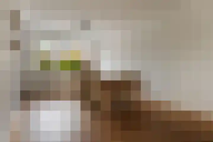 Kerkstraat 15 Meeden thumbnail 9