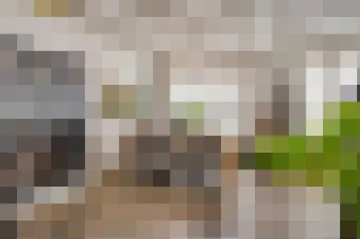 Kerkstraat 15 Nederweert thumbnail 17