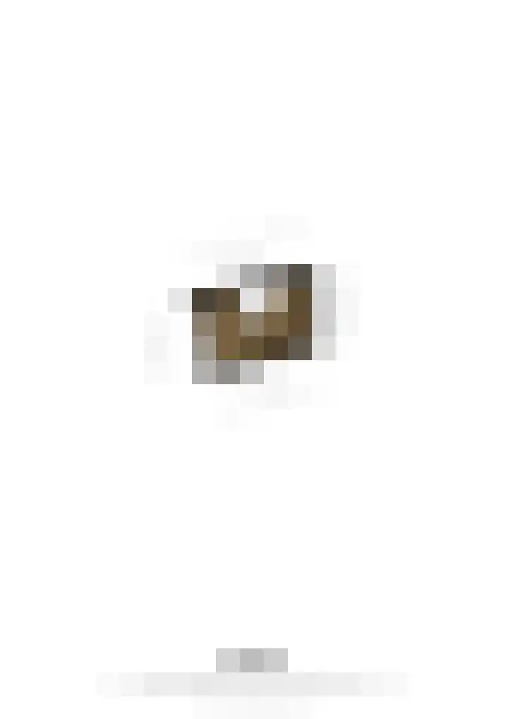 Kerkstraat 15 Nederweert thumbnail 48