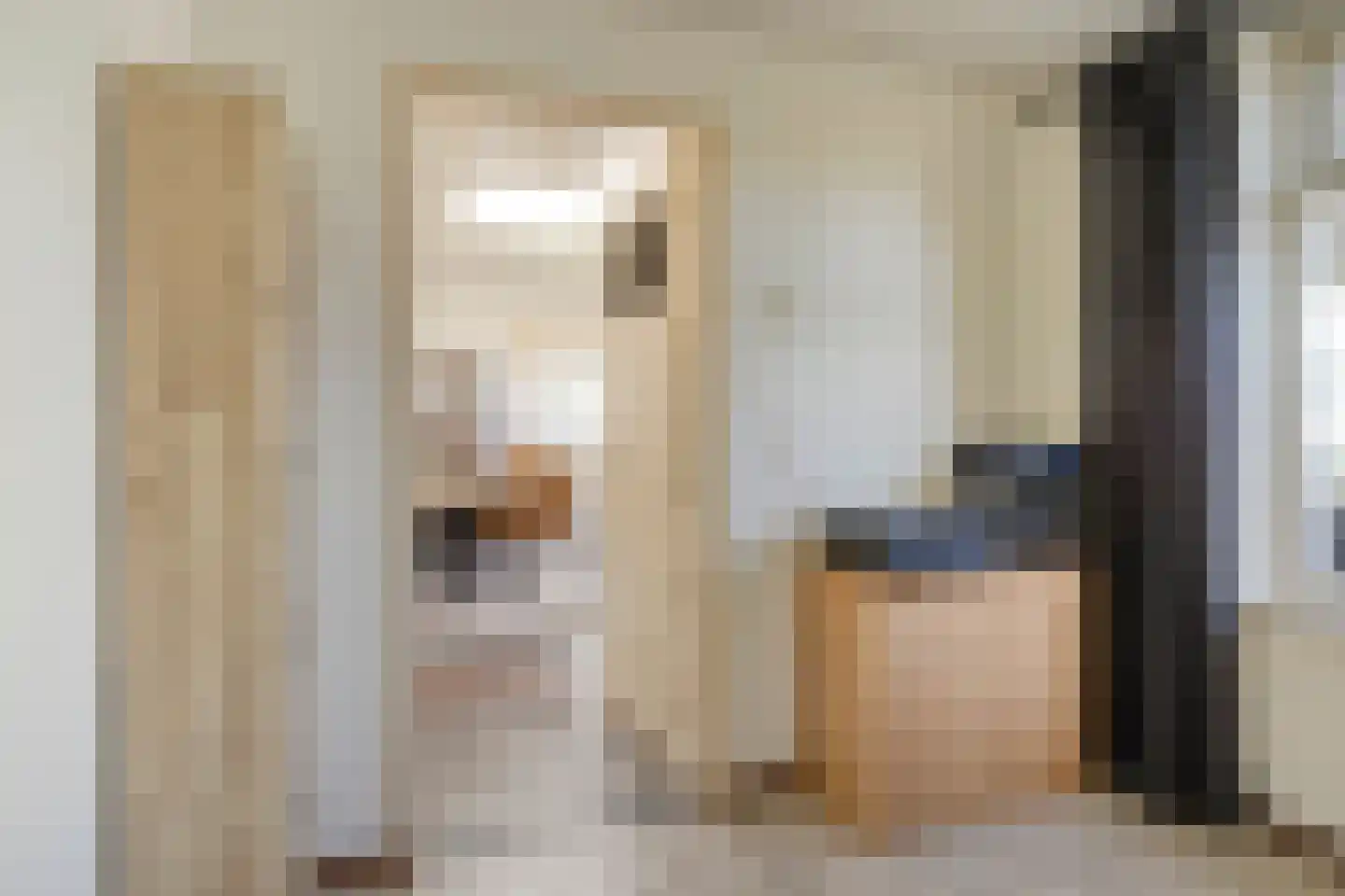 Kerkstraat 15 Oost West en Middelbeers thumbnail 27