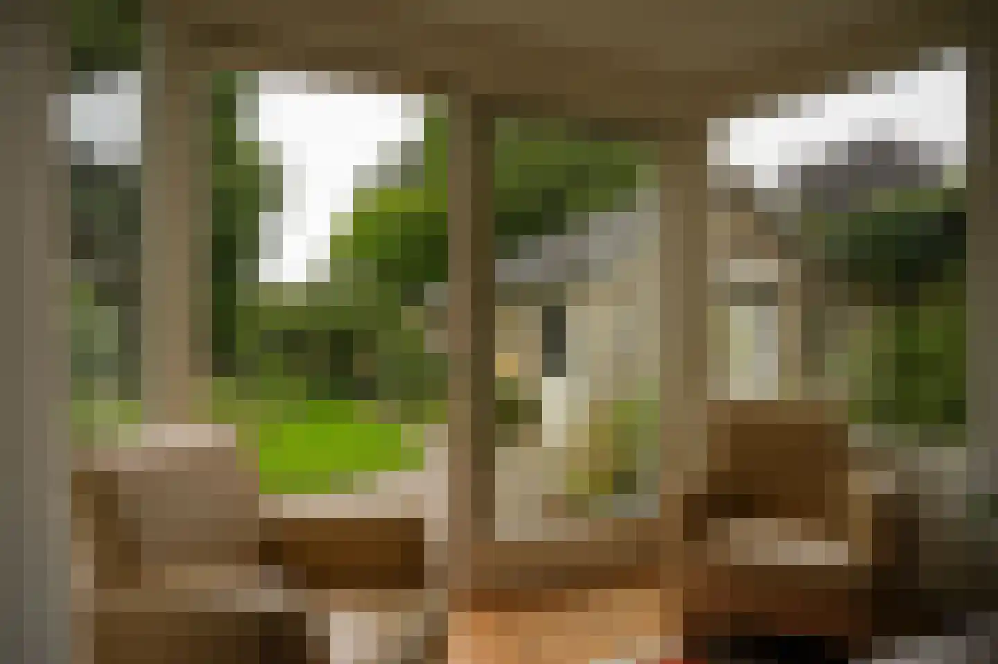 Kerkstraat 15 Wamel thumbnail 11