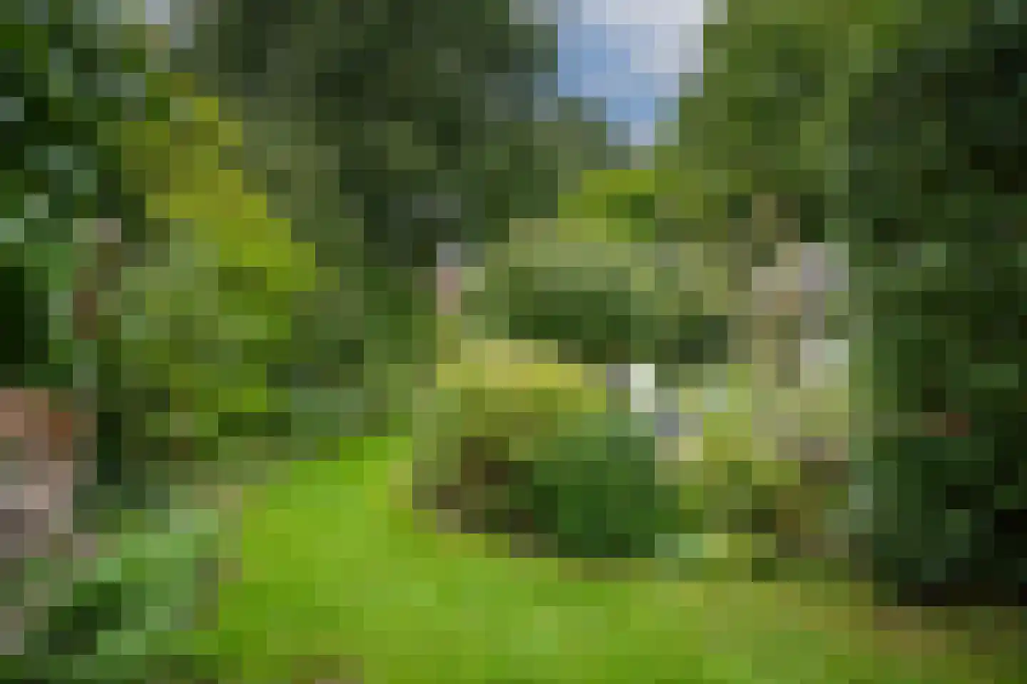 Kerkstraat 15 Wamel thumbnail 41