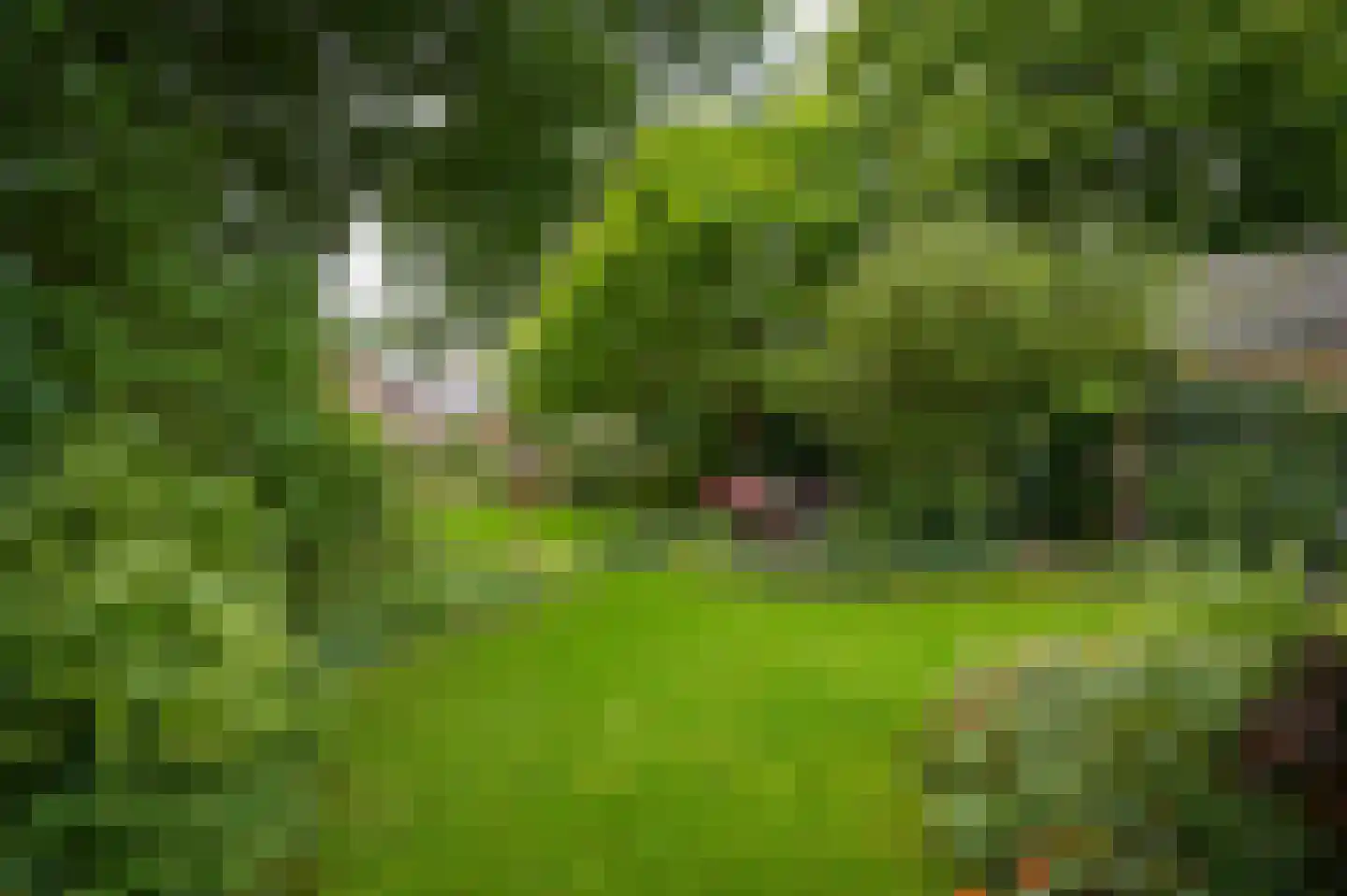 Kerkstraat 15 Wamel thumbnail 42