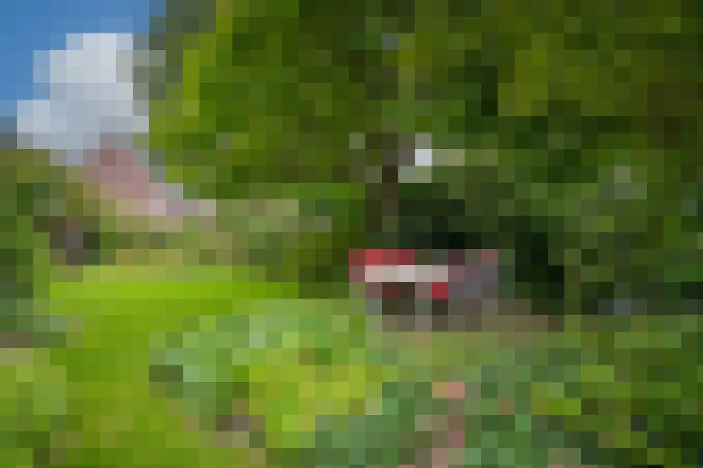 Kerkstraat 15 Wamel thumbnail 43