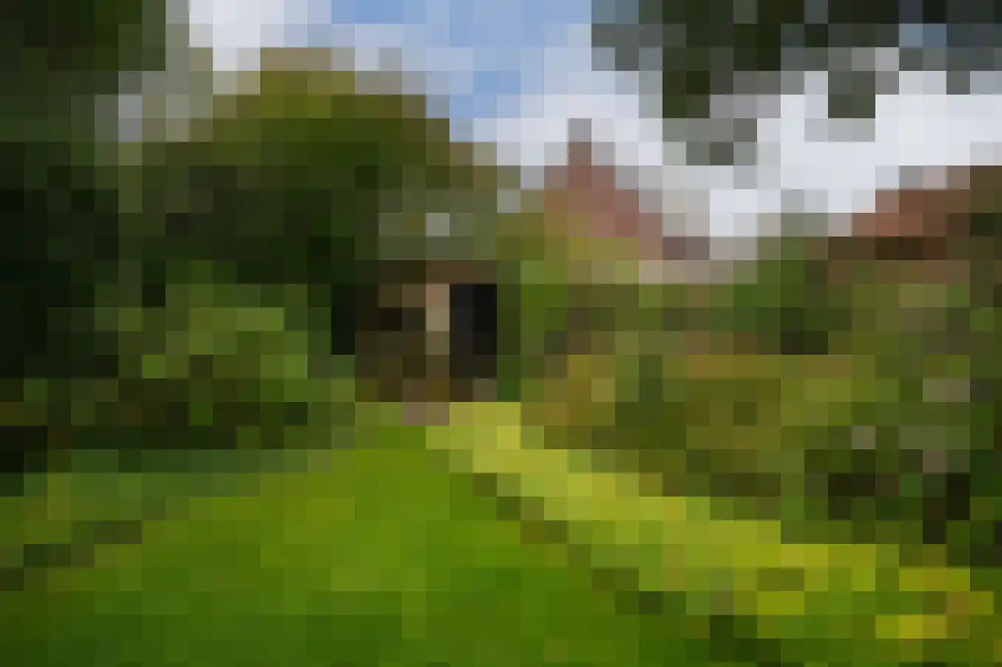 Kerkstraat 15 Wamel thumbnail 44