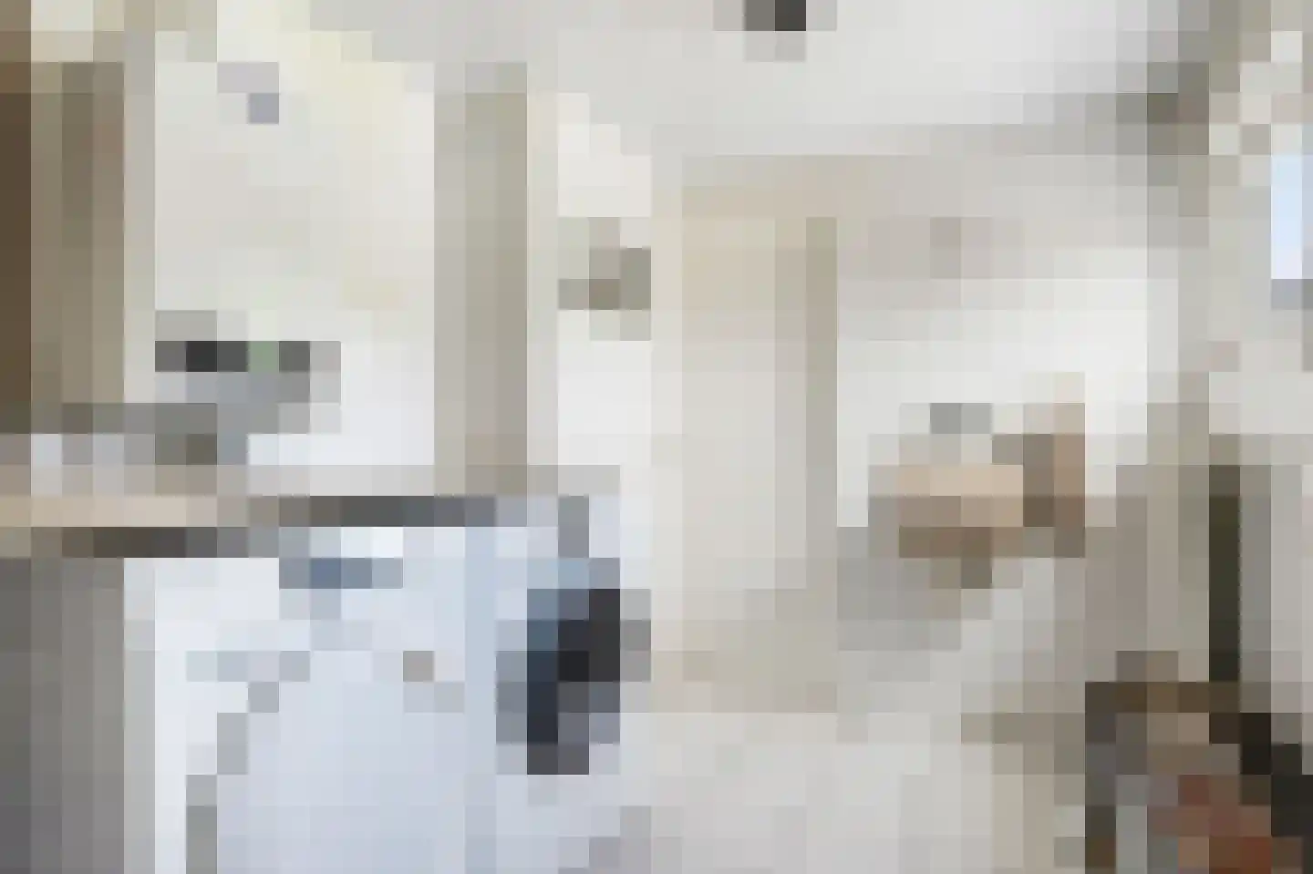 Kerkstraat 15 Wintelre thumbnail 16