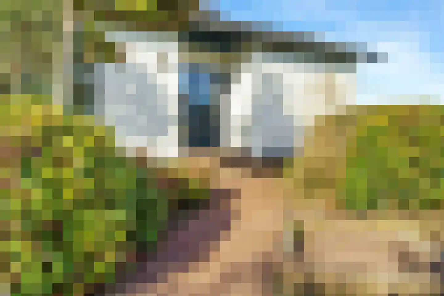Kerkstraat 156 Giesbeek thumbnail 11