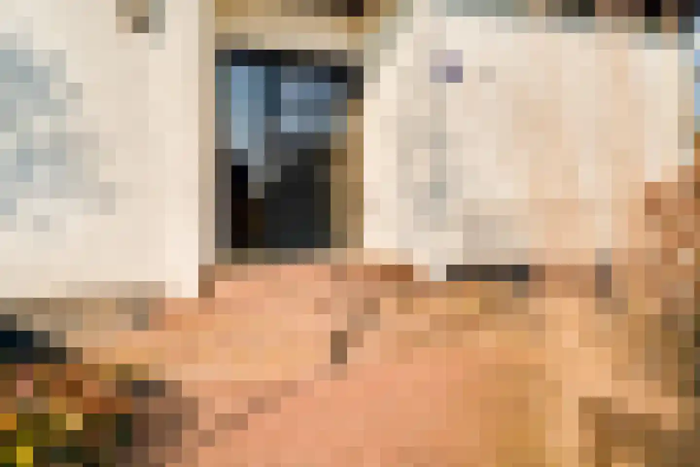 Kerkstraat 156 Giesbeek thumbnail 13