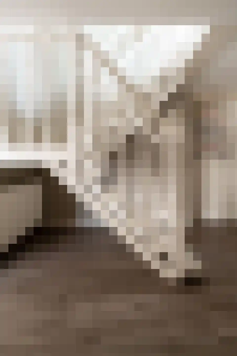 Kerkstraat 156 Giesbeek thumbnail 40