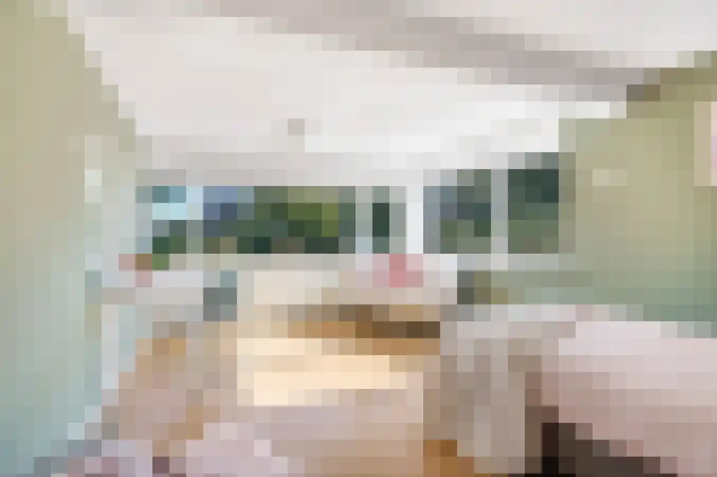 Kerkstraat 156 Giesbeek thumbnail 41