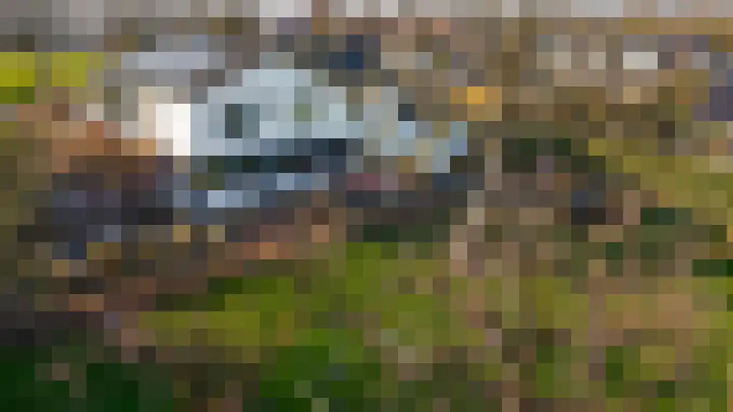 Kerkstraat 156 Giesbeek thumbnail 58