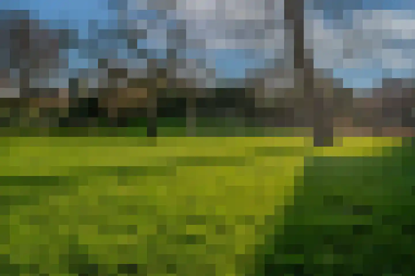 Kerkstraat 156 Giesbeek thumbnail 65