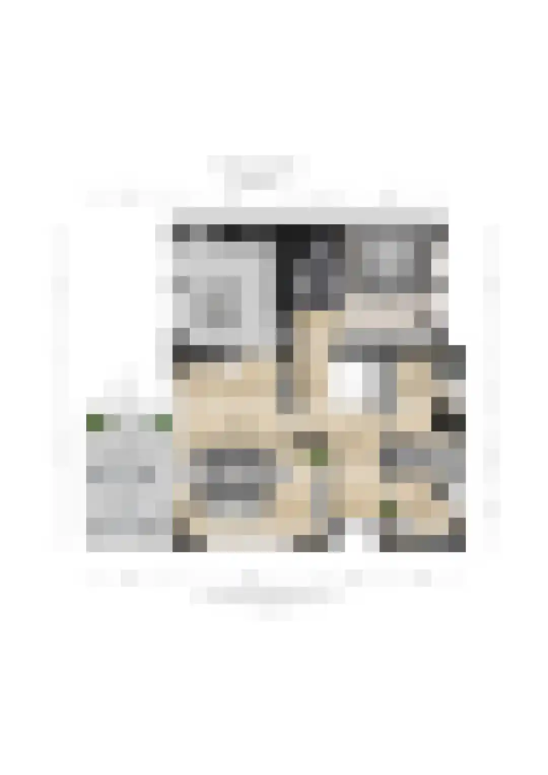 Kerkstraat 156 Giesbeek thumbnail 73