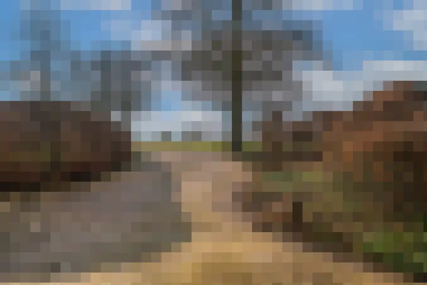 Kerkstraat 156 Giesbeek thumbnail 8