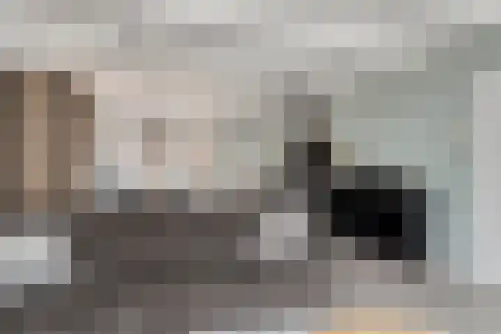 Kerkstraat 16 Bruinisse thumbnail 12